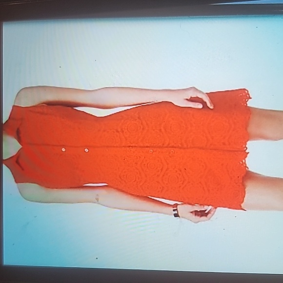 Ronni Nicole Lace Sleeveless Button Front Closure dress SZ 10 - Picture 12 of 13